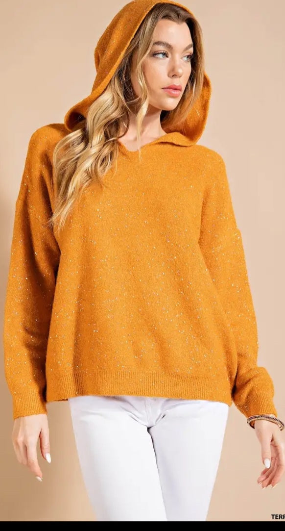 Rust Sparkle Sweater Top with Long Sleeves