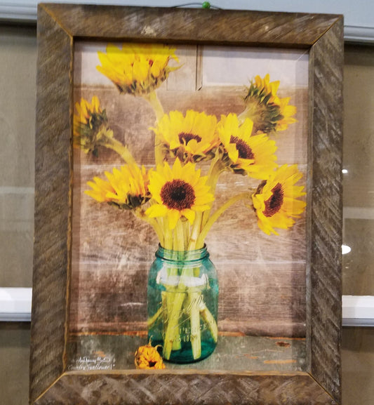 Sunflowers Picture